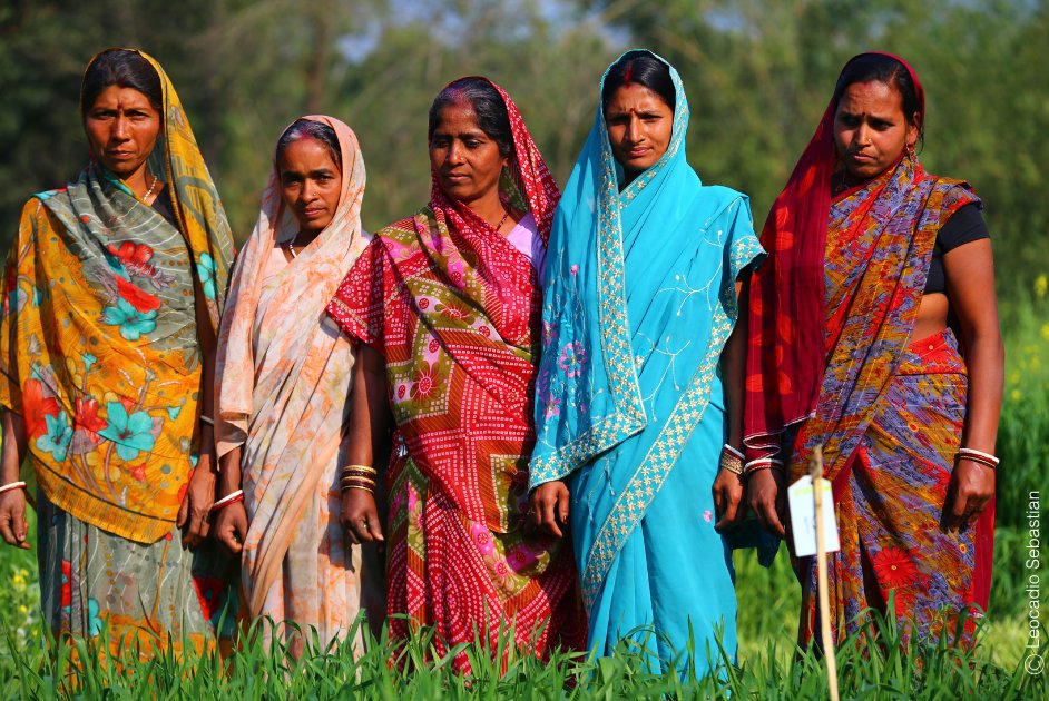 3ieNews's tweet photo. New working paper: Supporting women-led businesses in India

Our new working paper synthesizes findings from four process evaluations of programs supporting collective and group-based models for women-led businesses in India.

3ie led three evaluations of projects by @ACCESSDevelopm1 @Urmultrust  and Chitrika Foundation, while @IDinsight evaluated the program by @IMAGO_gg and @SEWABharat.

Commissioned by the @gatesfoundation as part of 3ie’s Swashakt program, this study sheds light on key strategies to enhance women’s economic empowerment.

Read the full paper here: https://t.co/AA8okubiNL
