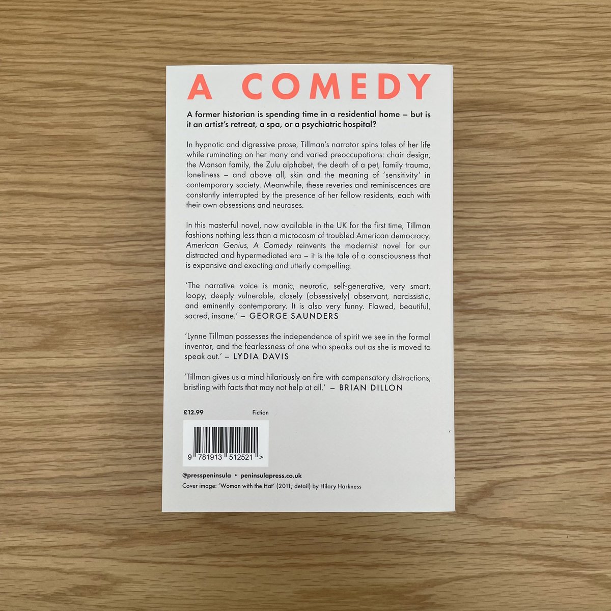 Happy publication day to Lynne Tillman, whose outstanding novel American Genius, A Comedy publishes today ✨✨✨