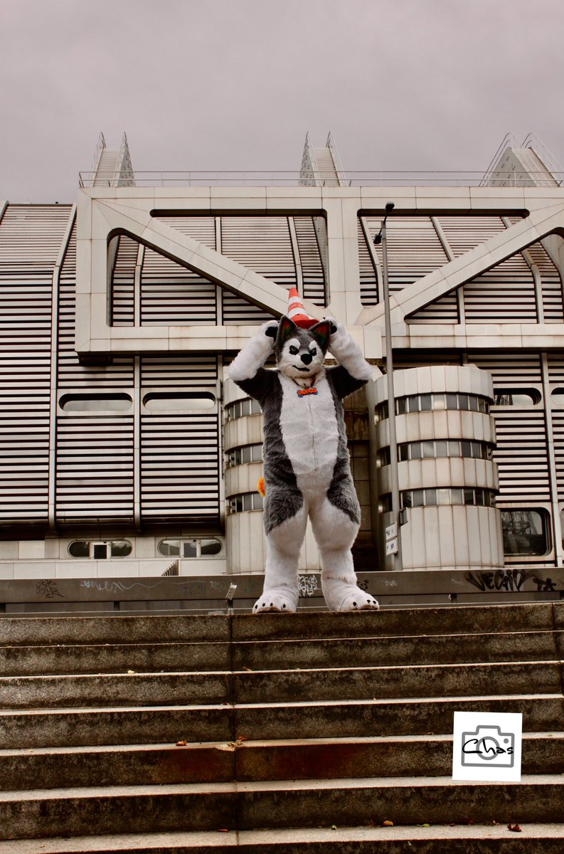 A short walk in cloudy weather and <a href="/RufusRainbowDog/">@RufusRainbowDog@dog-pound.de</a> still found new things to discover and look at, including trying them out. 
Was a nice Walk.

#funkturmberlin #fursuiter #furry #discovery #furs