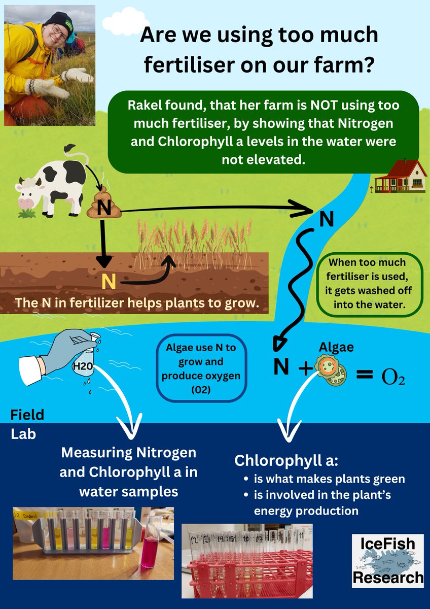 IceFish Research tweet media