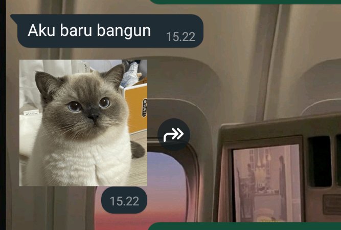 Ra tweet media