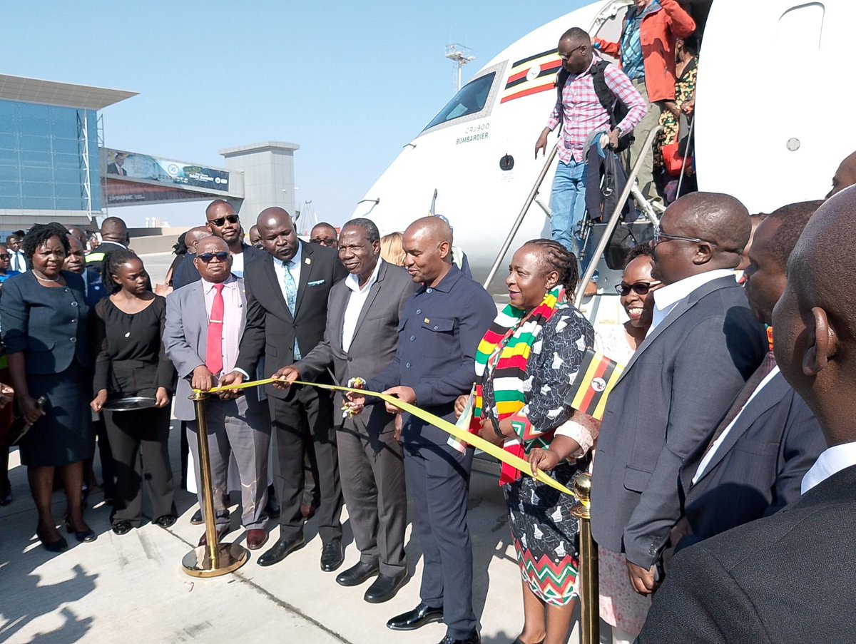 Dandaro Online tweet media