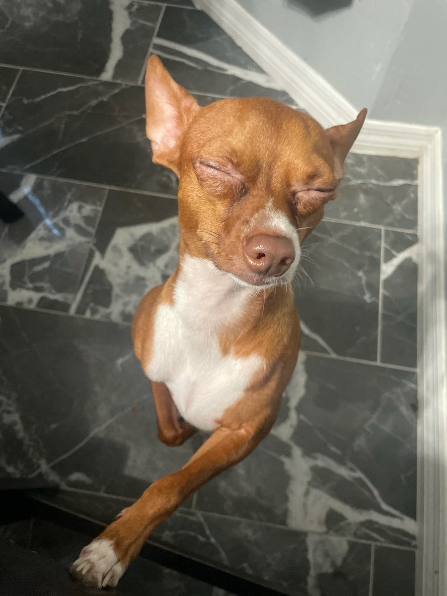 FileZilla 🔥🐉 tweet media