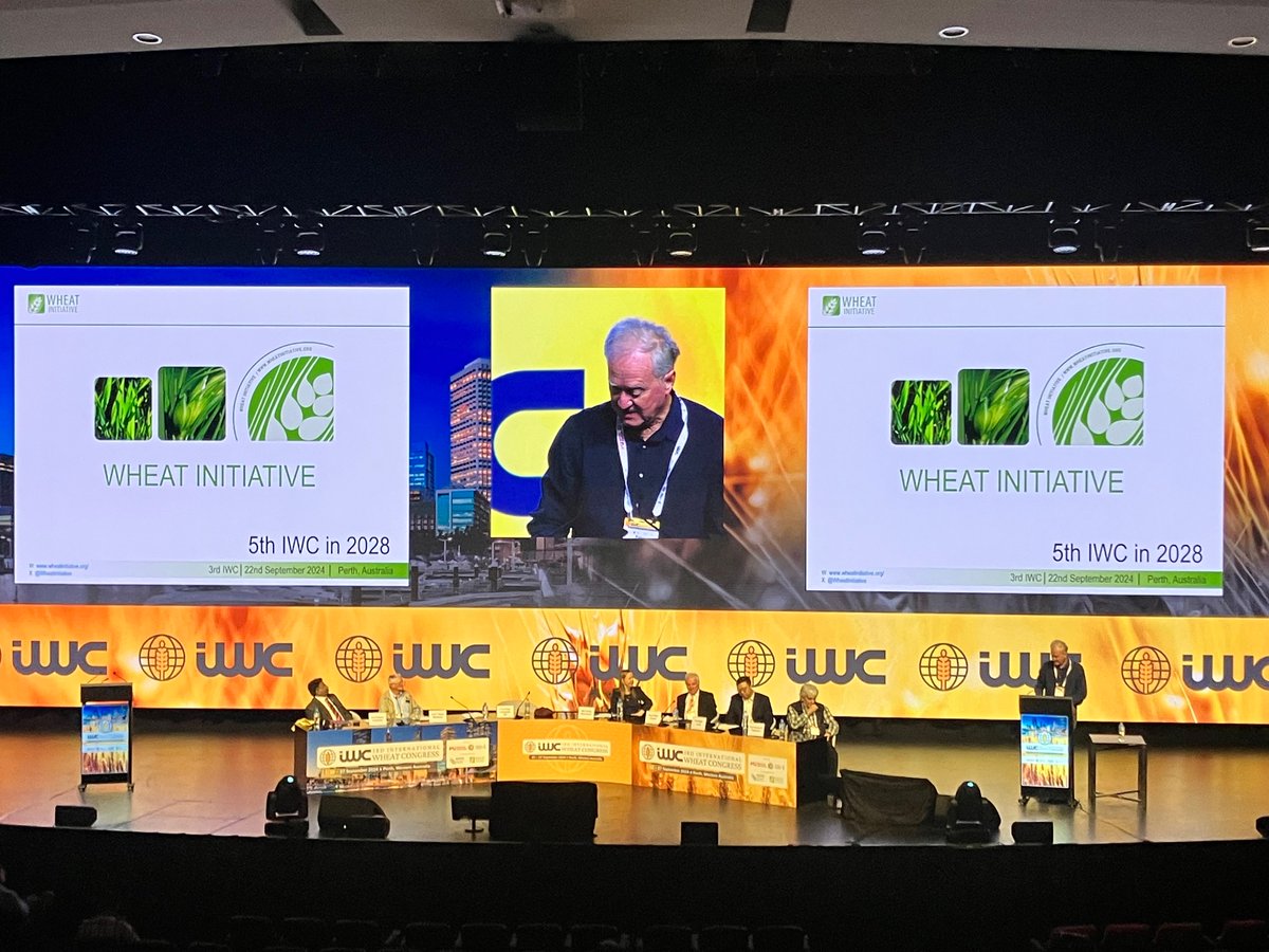 Wheat Initiative (@wheatinitiative) on Twitter photo Peter Langridge is lining out the next steps for the International Wheat Congress #iwc2024Perth! The call for bids will be soon open at the <a href="/WheatInitiative/">Wheat Initiative</a> website! Peter Langridge is lining out the next steps for the International Wheat Congress #iwc2024Perth! The call for bids will be soon open at the <a href="/WheatInitiative/">Wheat Initiative</a> website!