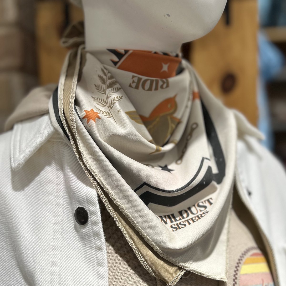 Motori_ginza's tweet photo. 人気のリバーシブルスカーフが再入荷🏍️✨ #wildust

#バイク用品 #motorimoda #motorimodaginza https://t.co/DspynUL0aZ