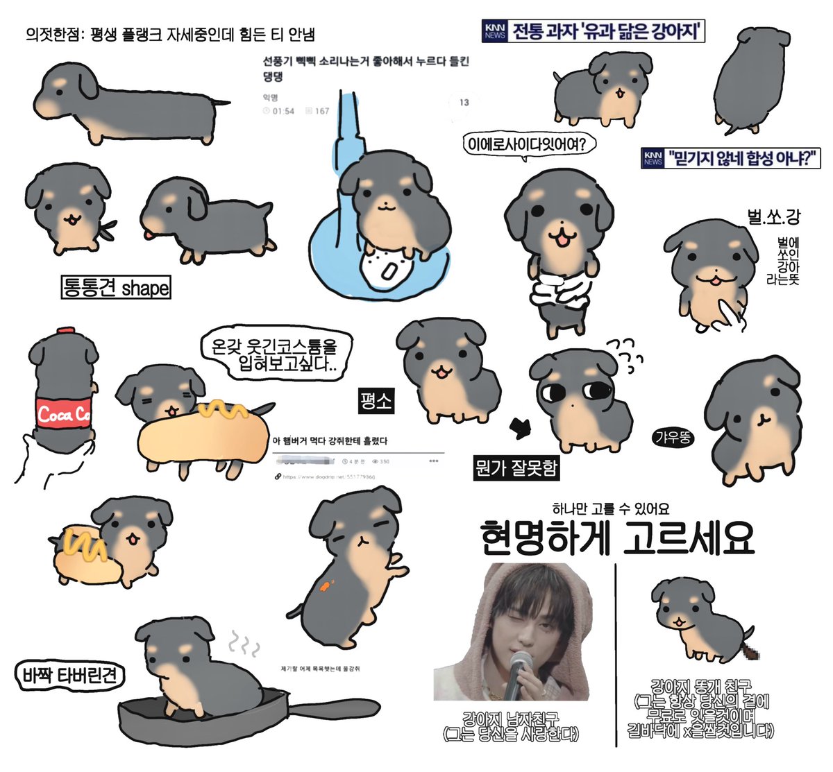 탘스훈트에 대한 고찰