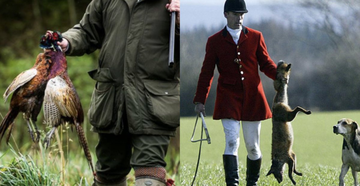 Protect the Wild tweet media