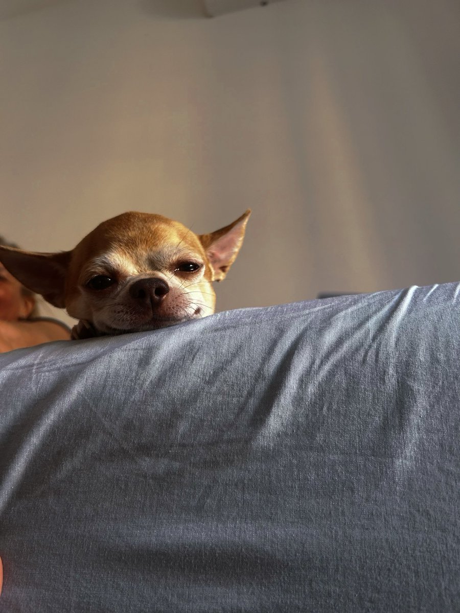 Смотрит на самую красивую булочку