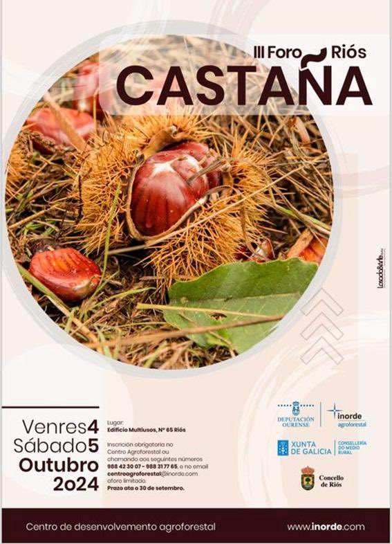 Deputación de Ourense tweet media