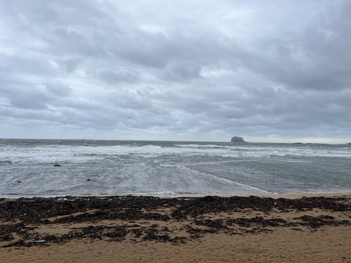 Douglas Alexander tweet media