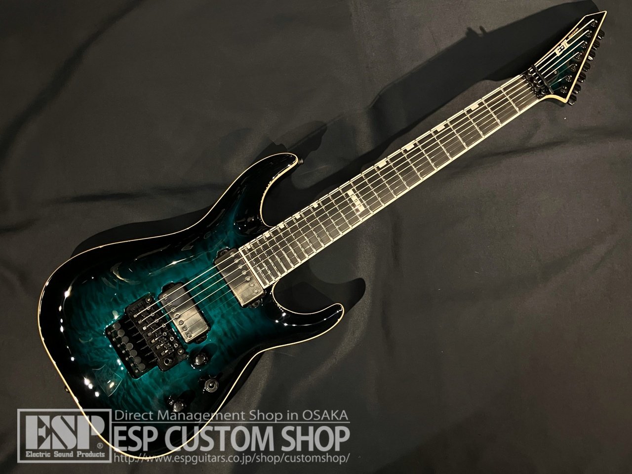 Tokai EG-302 ビザール Mod 特注ブリッジ バーズアイPG P90