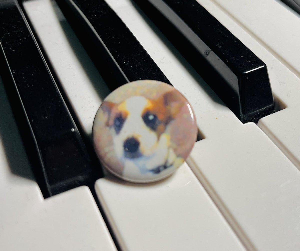 Alain Debaisieux (@alain2b) on Twitter photo 