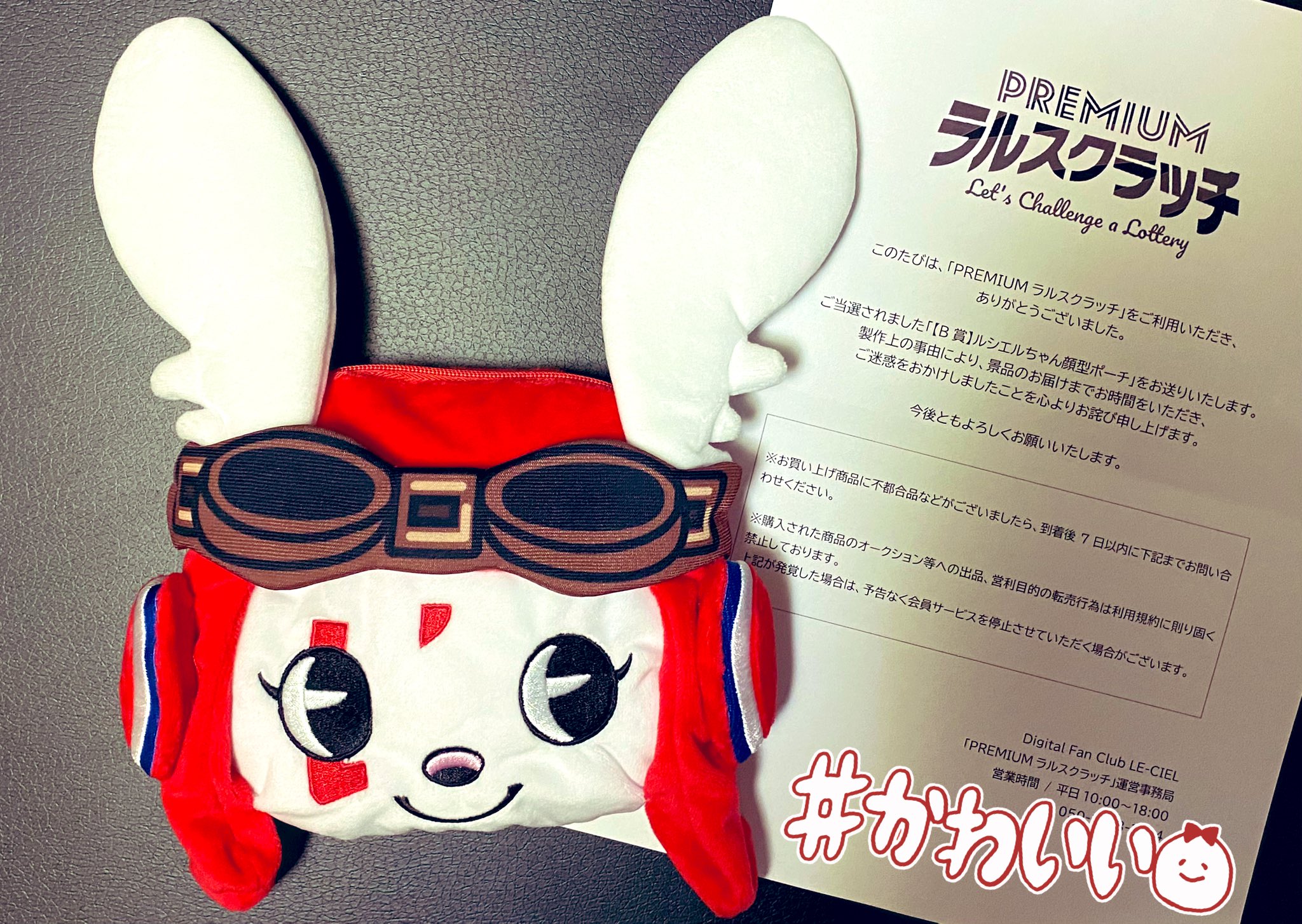 hyde誕生祭 アップグレード 特典 トートバッグ ルシエルちゃんポーチ 黒 hyde誕生祭 アップグレード 特典 トートバッグ ルシエルちゃん