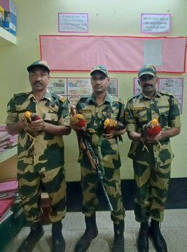Alka_Mandall's tweet image. #BSF_Protets_WIldlife

Troops of Amudiya BOP Rescued Four Chinese #GoldenPheasant from wildlife smugglers along Indo Bangladesh Border.

#AlertBSF
#IPL2025  #BigBillionDaysLeaked #AnanyaPanday #banknifty #ChennaiRains #DigiKavach #TriptiiDimri #RedAlert टीना डाबी #Meiyazhagan