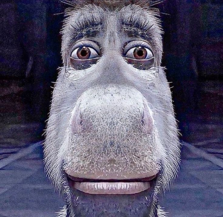 ʙʀɪ ✦ tweet media