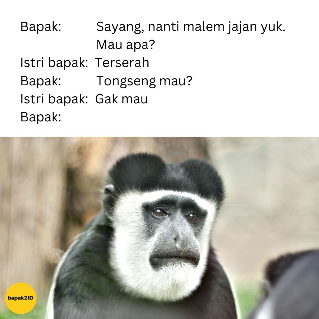 bapak2id tweet media