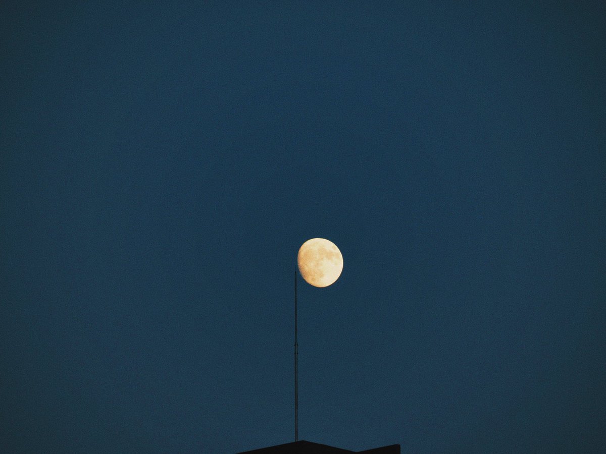 MOON tweet media