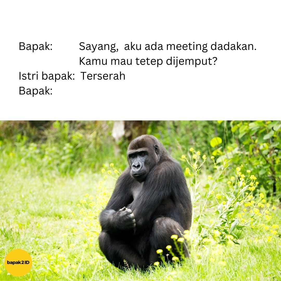 bapak2id tweet media