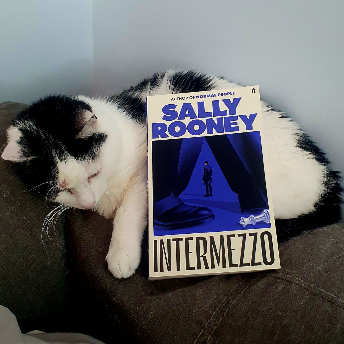 New #bookmail arrived today 😍 I'm looking forward to reading Intermezzo by Sally Rooney along with a couple of million people #booktwt #amreading