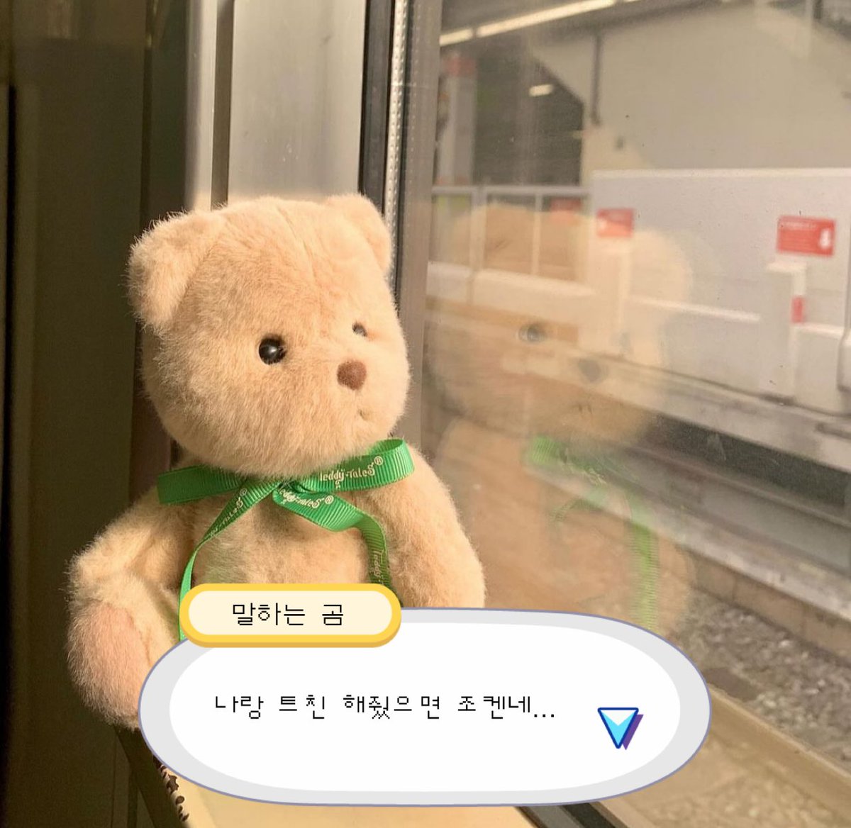 테디테일즈(TeddyTales) tweet media