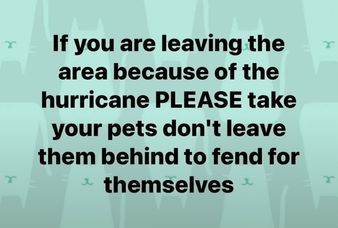 Fellow Floridians:
