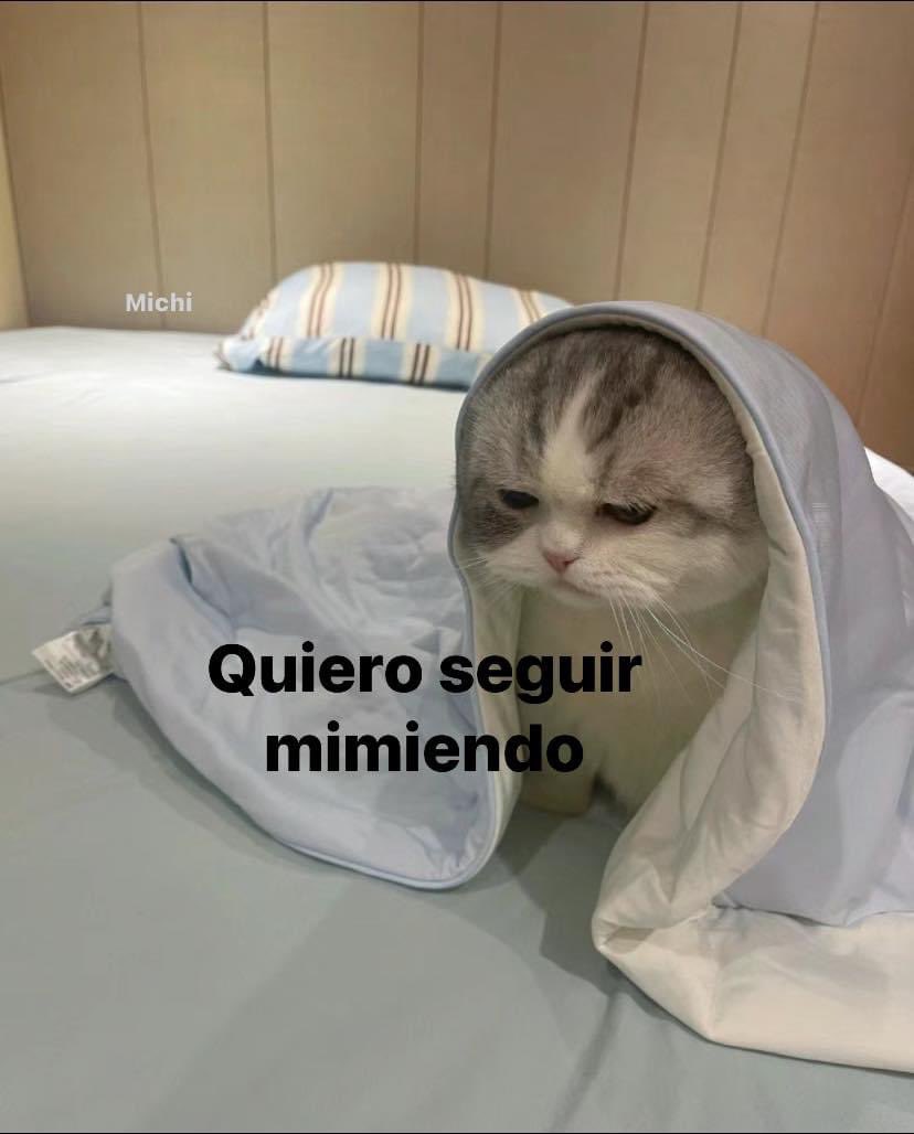 Yo