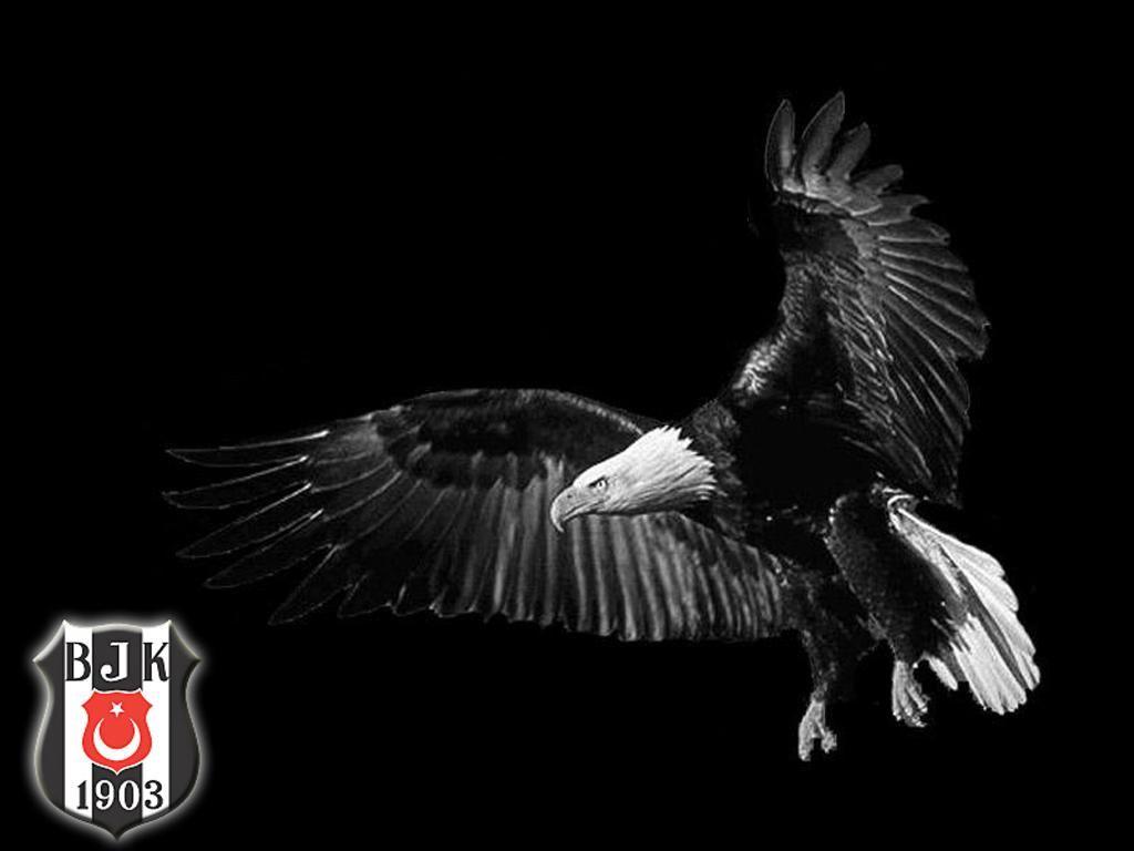 RizeKartali53's tweet photo. Günaydın 🖤🤍🦅
#BeşiktaşınMaçıVar https://t.co/FGlCkimbc0