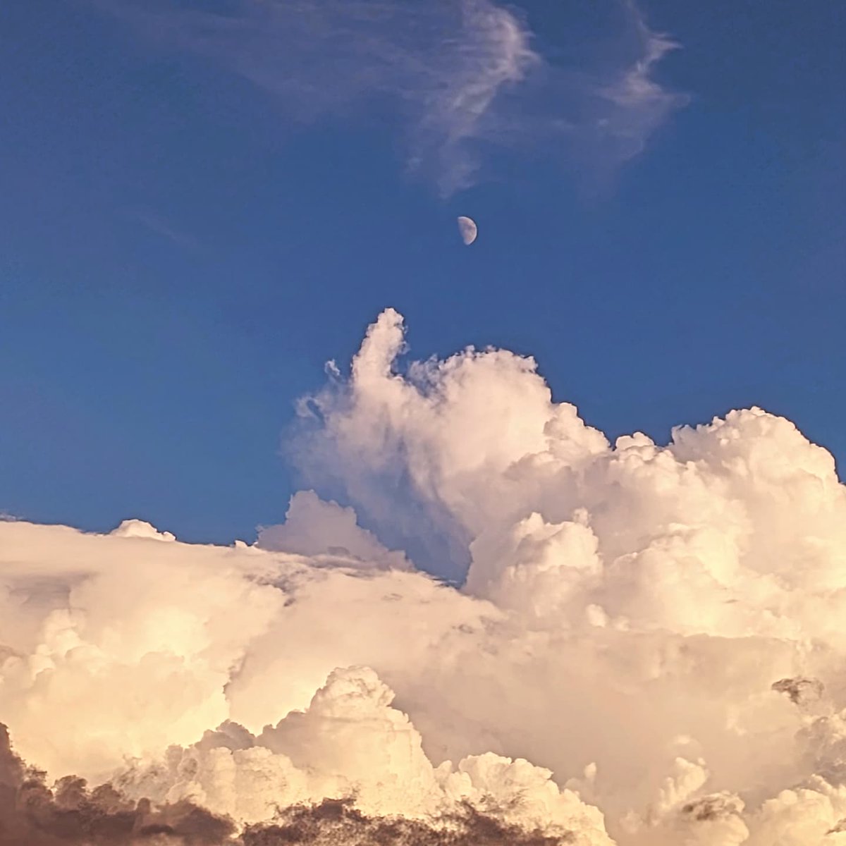 Brilliant cloud formations over Madarao.

Snow Reports: madaraosnowreport.com
Webcams: madarao.webcam
Resort info: madaraokogen.com/ski/

#Madarao #Madaraoski #Madaraoweather #Madaraowebcam #Madaraosnowreport #Madaraokogen #斑尾高原 #斑尾 #斑尾高原スキー場 #tangram