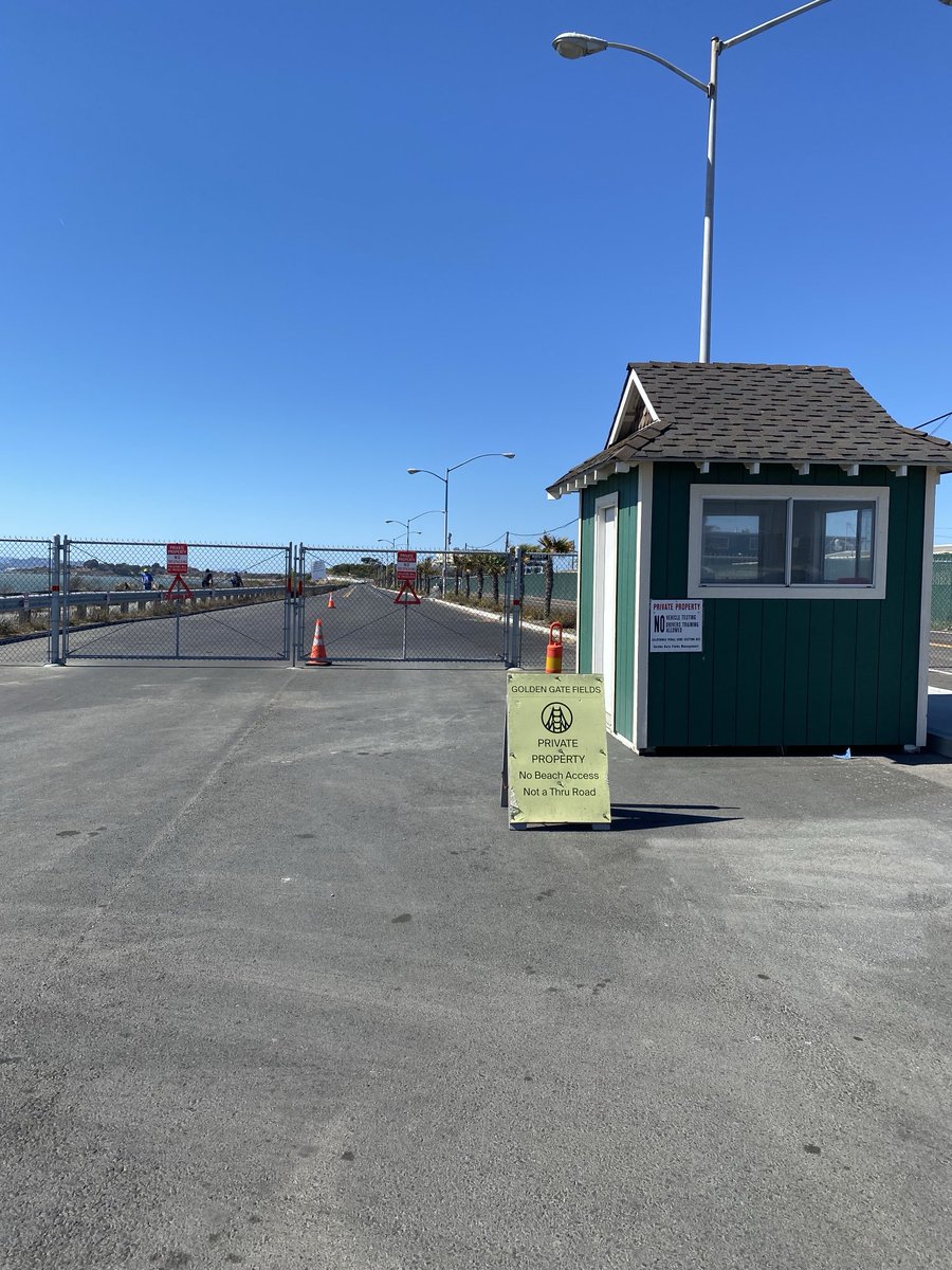 currymel tweet media