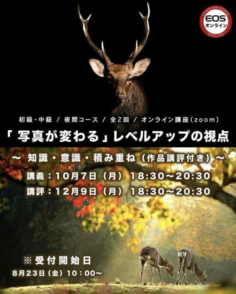 鹿様ご確認ページ ぬくい 