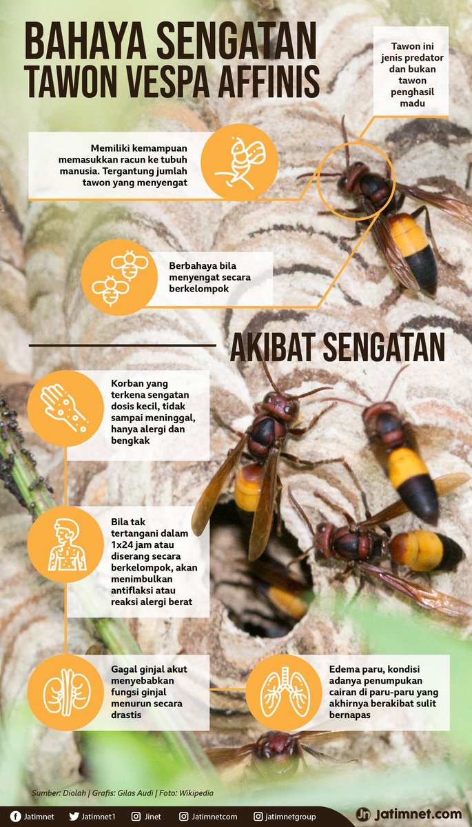 baber168's tweet photo. @ridwanhr ngeri sih memang https://t.co/cFboW38vQM
