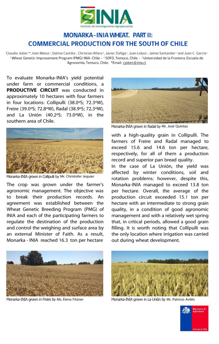 Programa de Mejoramiento de Trigo Inia🇨🇱 presente en 3International Wheat Congress, Perth Australia, presentando 3 nuevas variedades de trigo harinero y candeal