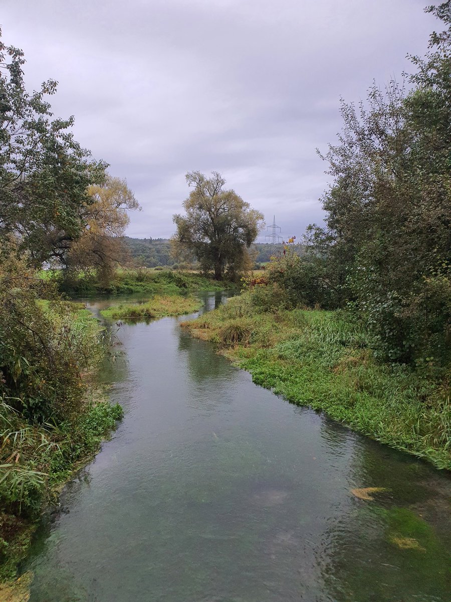 AKampfrath's tweet image. Guten Morgen. Es regnet leicht bei ~12,5°C. Heute ist #Goretexsockenwetter.
Kommt gut durch den Tag. ✌️ 
#mdRzA #biketowork #bike2work