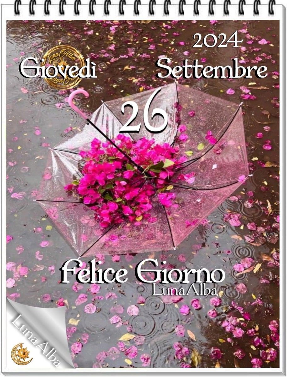 RITABIANCHi56 tweet media