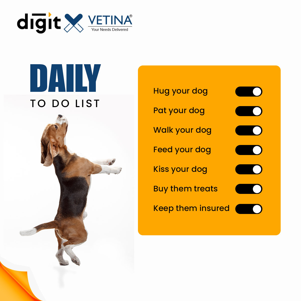 pawtect_india's tweet image. 🐕 Your Dog’s Daily To-Do List: Checked Off! ✅

Caring for your dog isn’t just about feeding and walking them— it’s about showering them with love, affection, and… insurance! 🐾💖

#PetGoals #ChecklistComplete #PawfectCare #InsureYourPet #DigitPetInsurance #PetLove