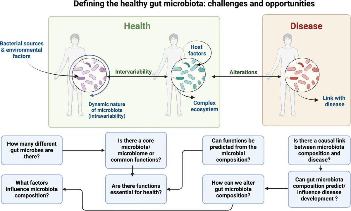 john_damianosMD's tweet photo. What defines a healthy gut #microbiome?

#MedTwitter #GITwitter 

https://t.co/DsPj4MzikU https://t.co/Y6TIzNjt5C