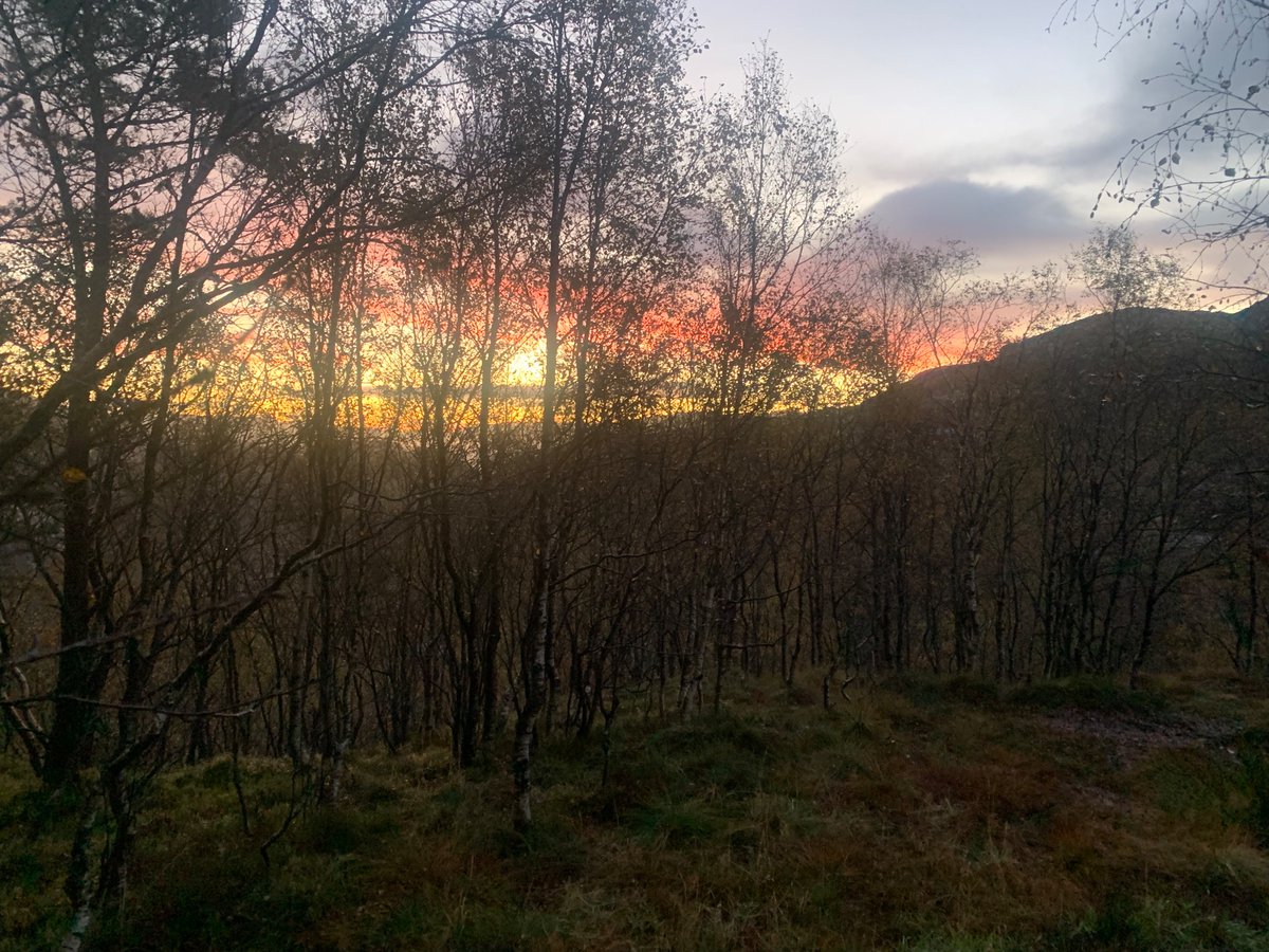 God torsdag fra Preikestolen