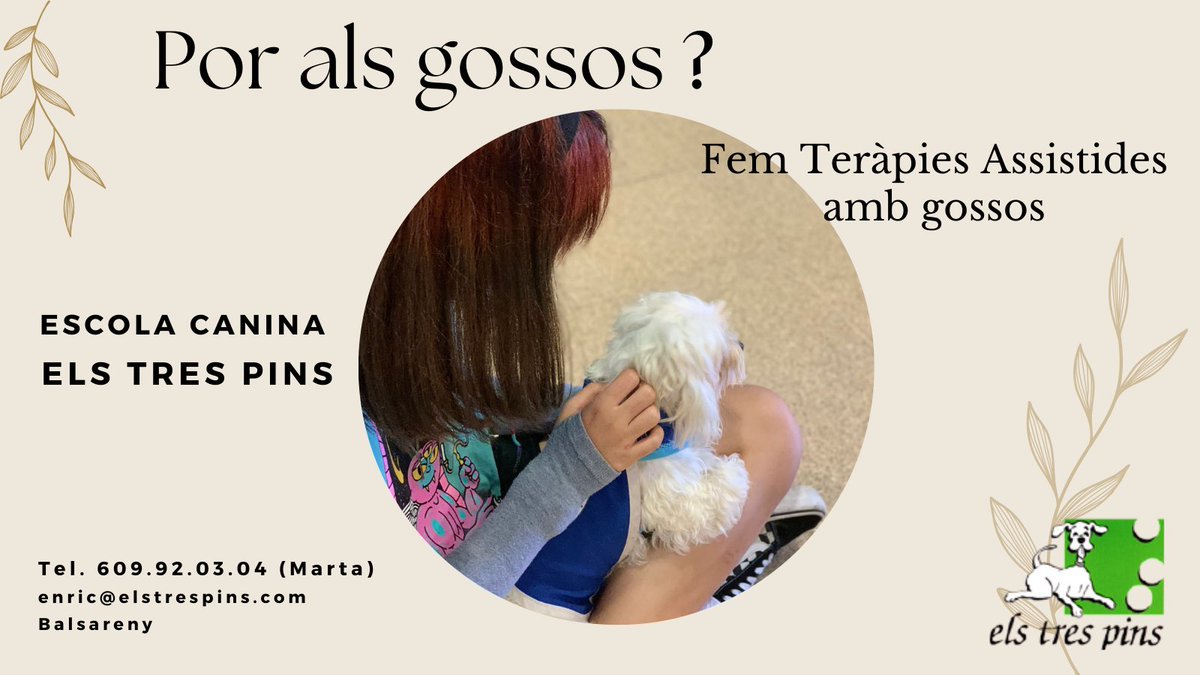 elstrespins (@elstrespins) on Twitter photo 