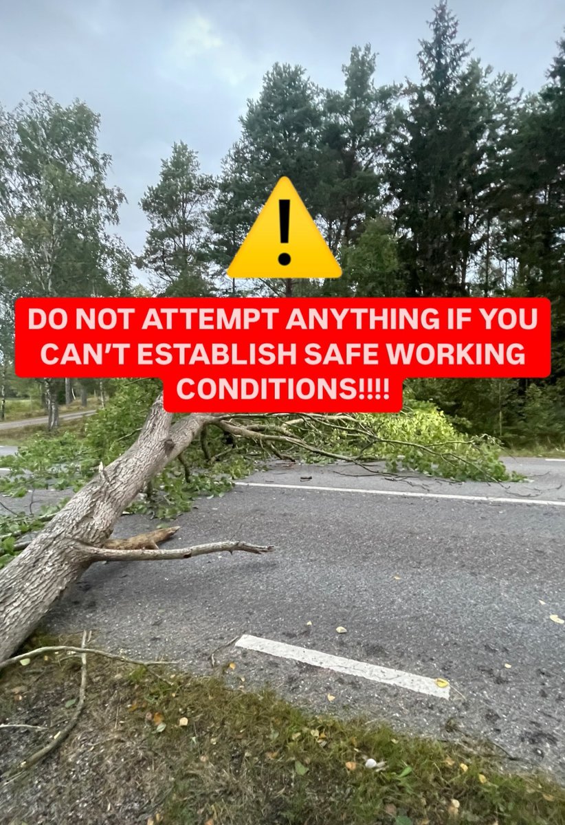 Sneaky Media Group tweet media