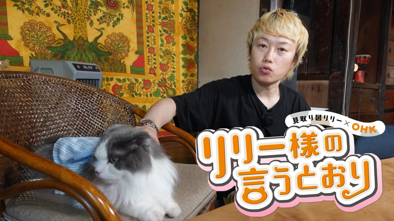 リリー様 赤毛のアンセット リリー様 赤毛のアンセット Amazon.co.jp: り