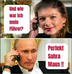 knuff37's tweet photo. @Demoguardian wow... kommt ja gerade zur rechten Zeit, dann kann der dumme #Putinknecht ja mal wieder so richtig Angst verbreiten, auf ihrer #DeppenDemo am 03.10.... hat ja letztes Jahr sehr gut geklappt....😡😡 https://t.co/wpSEh8UA92