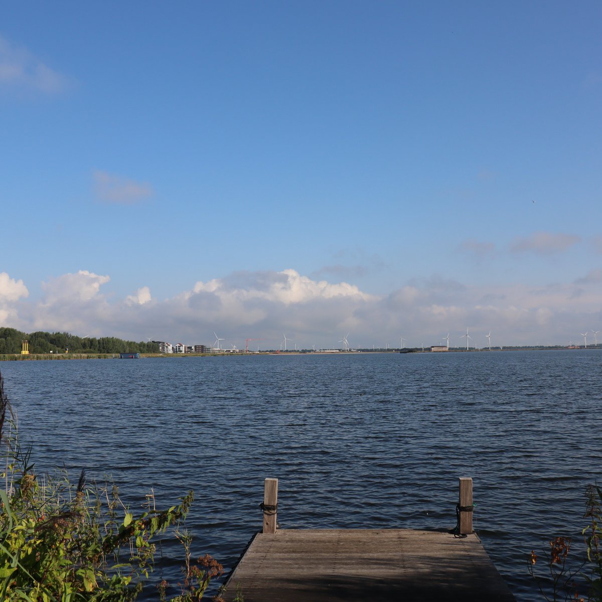 Heb jij onze nieuwsbrief van oktober al gezien? We laten graag 1x per maand weten wat de raad doet en beslist. Meld je aan via bit.ly/nieuwsbriefraad. Zo ben je altijd op de hoogte! #gemeenteraadzeewolde #nieuwsbrief #zeewolde