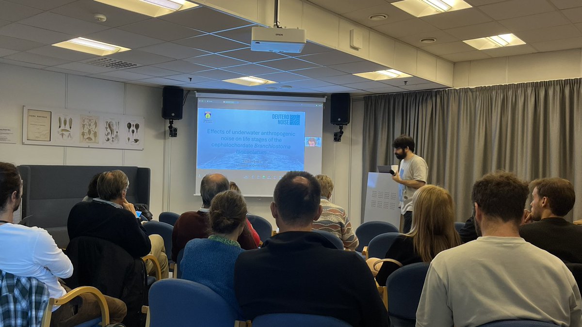 deuteronoise's tweet photo. This morning we follow the work with @ralsinap from @LaSalleBCN, Valentina from @unimib, Matteo from @UniGenova and Michaela from @GeoEcoMar. Sharing experiments, data analysis and the work we develop with stakeholders. @jpioceans https://t.co/uftgFNkmus