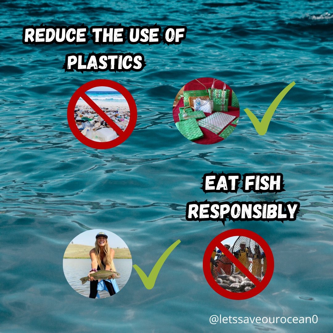 LetSaveOurOcean's tweet photo. The ocean gives us everything: oxygen, food and beauty. 🌊 But he's also asking for help. 🐢💧 Every action we take matters: less plastic, more awareness. If we want a healthy future, we must start by protecting the blue heart of our planet. 💙🌍 #Let'sTakeCareofTheOcean https://t.co/8f1KyGYm0C