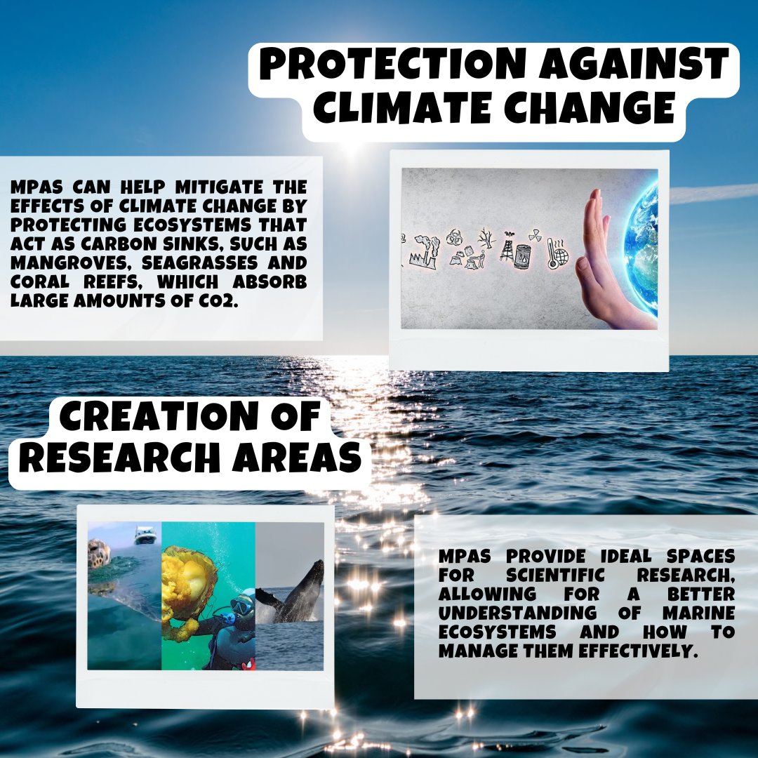 LetSaveOurOcean's tweet photo. The ocean is in crisis, but we still have time to make a difference. 🌊 Every step we take towards its protection is a step towards a cleaner and healthier future for everyone. 🐬💙 It's not just water, it's life. 🌍 Let's be aware, let's act responsibly. #SaveTheOcean#MarineCare https://t.co/Vb0Re3bWbh