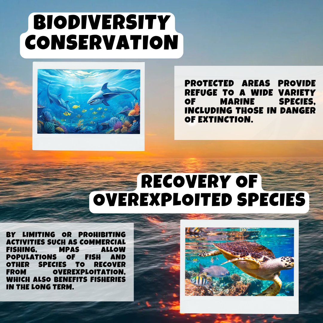 LetSaveOurOcean's tweet photo. The ocean is in crisis, but we still have time to make a difference. 🌊 Every step we take towards its protection is a step towards a cleaner and healthier future for everyone. 🐬💙 It's not just water, it's life. 🌍 Let's be aware, let's act responsibly. #SaveTheOcean#MarineCare https://t.co/Vb0Re3bWbh