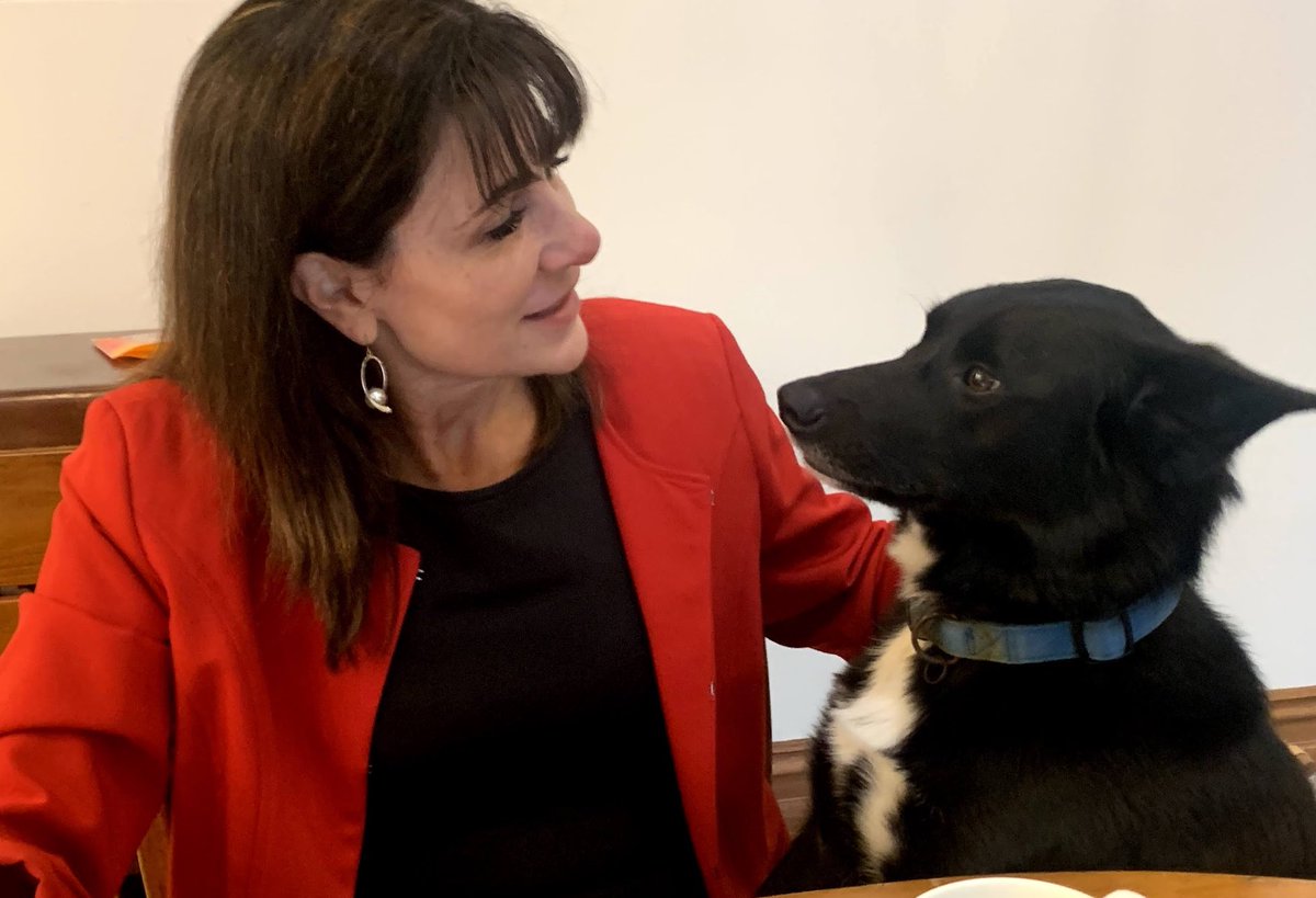 FLMirabelli's tweet photo. I am thrilled to announce that I have been appointed Interim CEO at Lort Smith. The organisation's mission of delivering compassionate care for Melbourne's pets and their people is close to my heart, as I have two rescue dogs who are very loved members of my family. @LortSmith https://t.co/bJDQEb07EQ