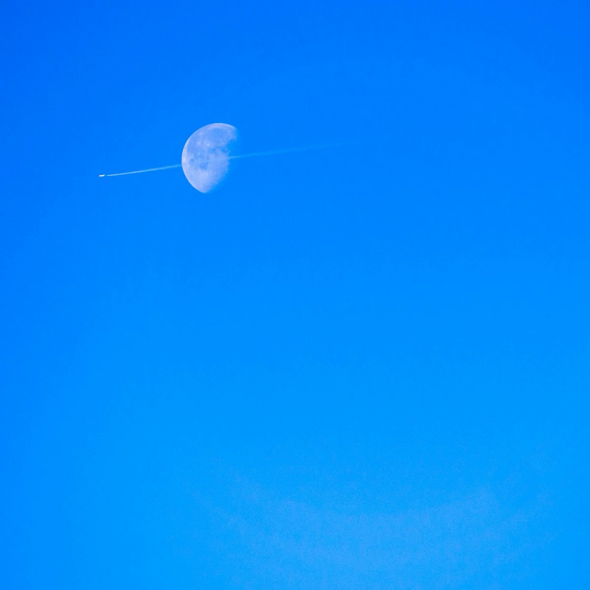 pcs92533's tweet photo. profile photo by こくだかや(kokudakaya)
배경화면 by Unsplash Manuel https://t.co/8mPJ0XpGZw