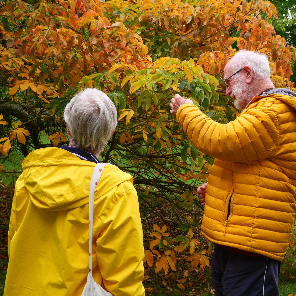 Spetchley Park tweet media