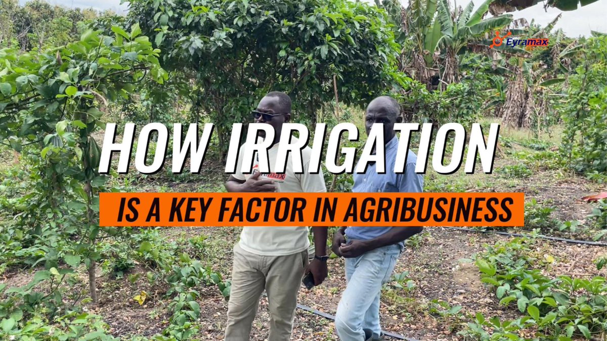 eyramax's tweet photo. Why Irrigation Is A Key Factor In Agribusiness (Farm) #irrigation #irrig...
Video link: https://t.co/4wT5sK5S0R https://t.co/7uWU33f22r